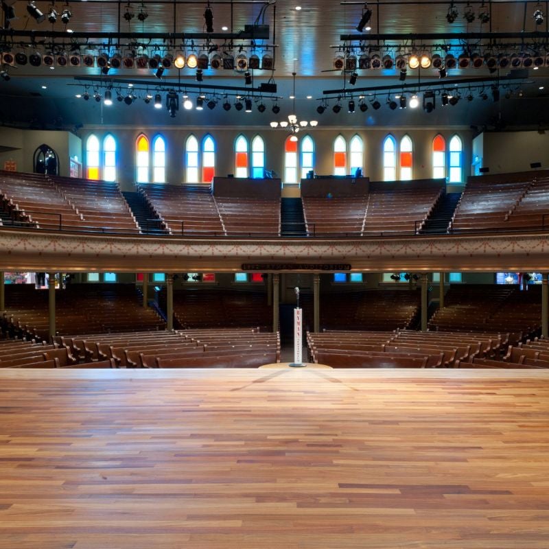 A view of the auditorium from the stage
